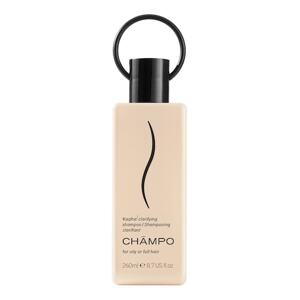 CHAMPO - Kapha Clarifying Shampoo – Rozjasňující šampon